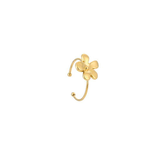 Ring Freeke