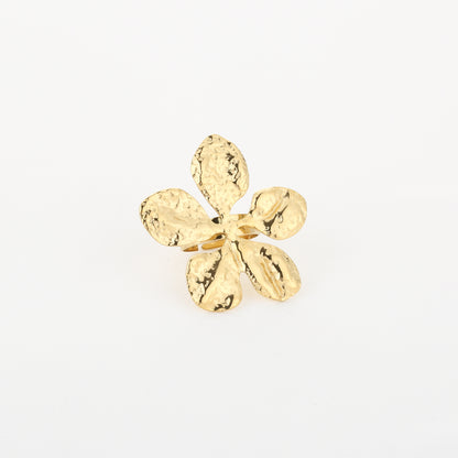 Ring Livy